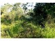 Lower Tully QLD 4854
