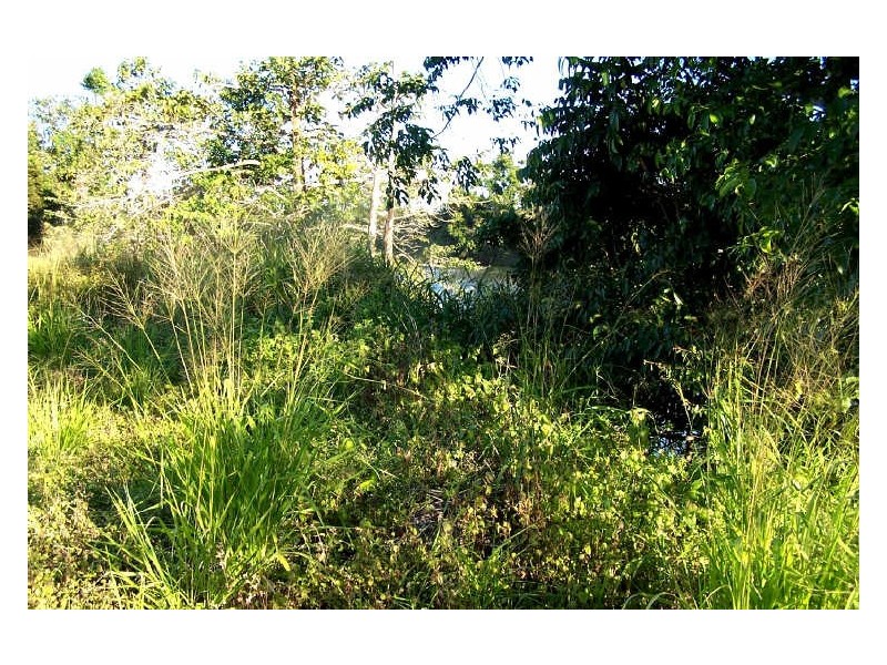 Lower Tully QLD 4854