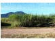 Lower Tully QLD 4854