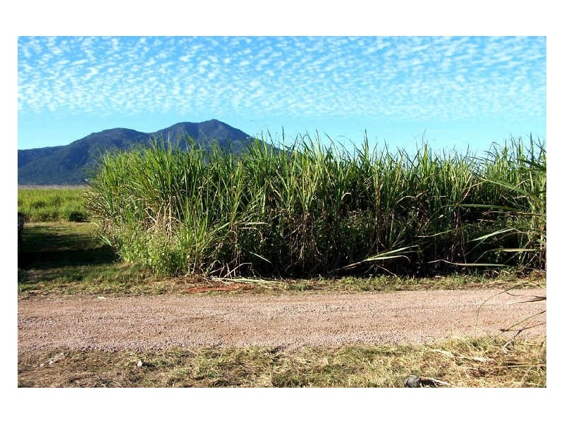 Lower Tully QLD 4854