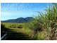 Lower Tully QLD 4854