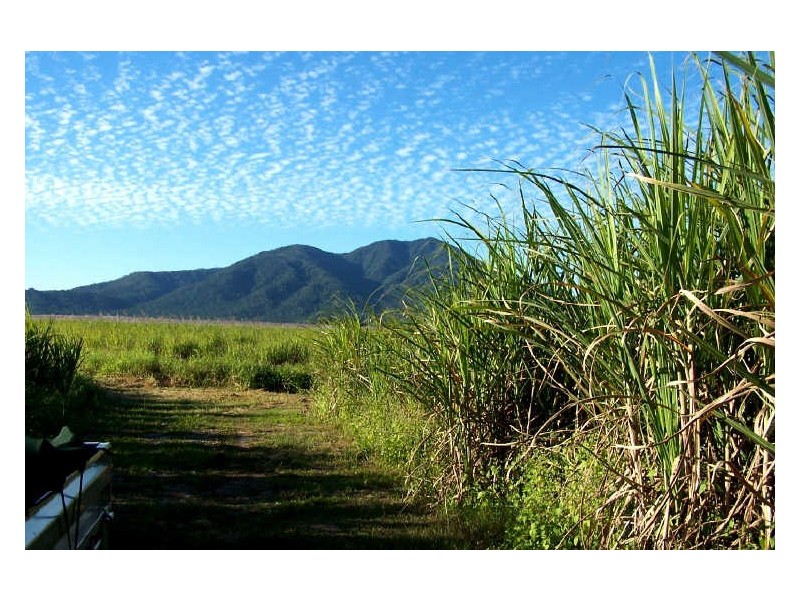 Lower Tully QLD 4854