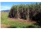 Tully QLD 4854