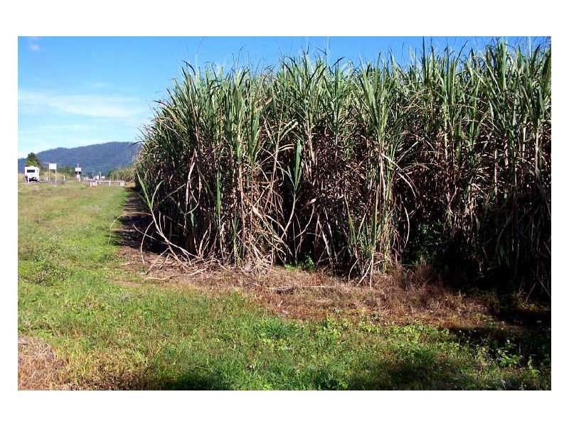 Tully QLD 4854