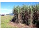 Silky Oak QLD 4854