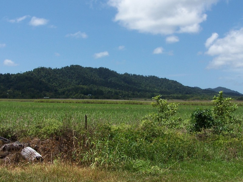 L6 Old Telegraph Road, East Feluga QLD 4854