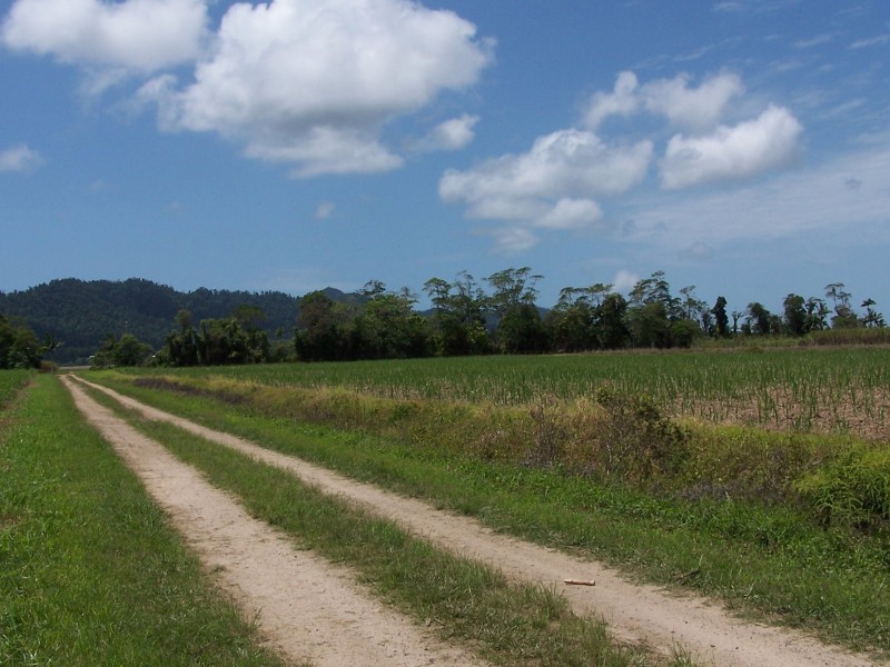L6 Old Telegraph Road, East Feluga QLD 4854