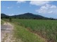 East Feluga QLD 4854