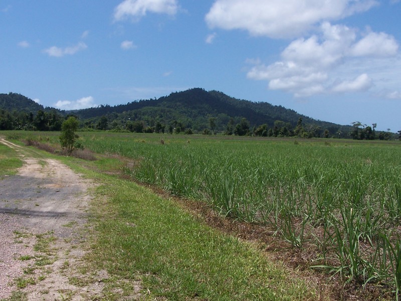 East Feluga QLD 4854