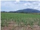 East Feluga QLD 4854