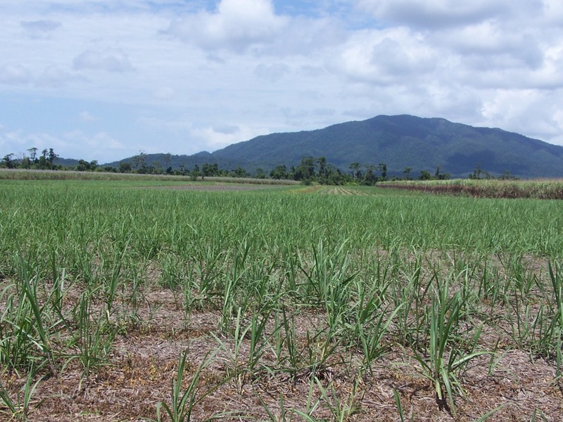 East Feluga QLD 4854