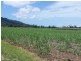 East Feluga QLD 4854