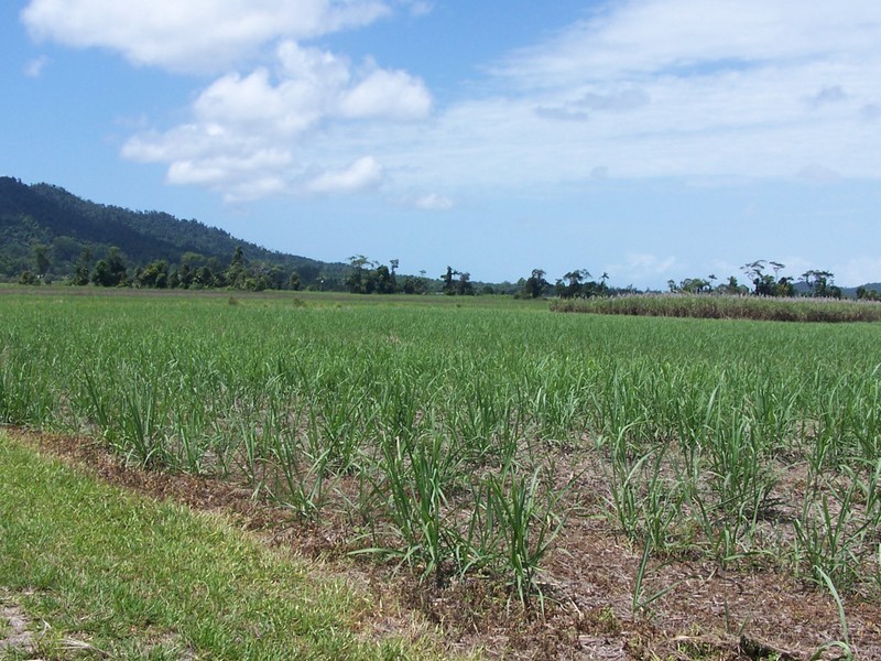 East Feluga QLD 4854