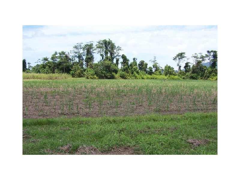 East Feluga QLD 4854