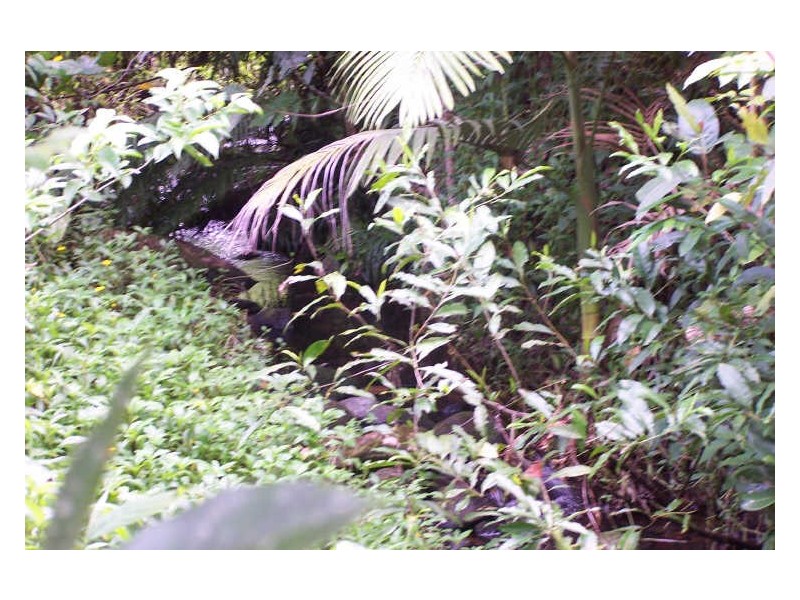 L4 Cassowary Drive, Tully QLD 4854