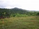Dingo Pocket QLD 4854