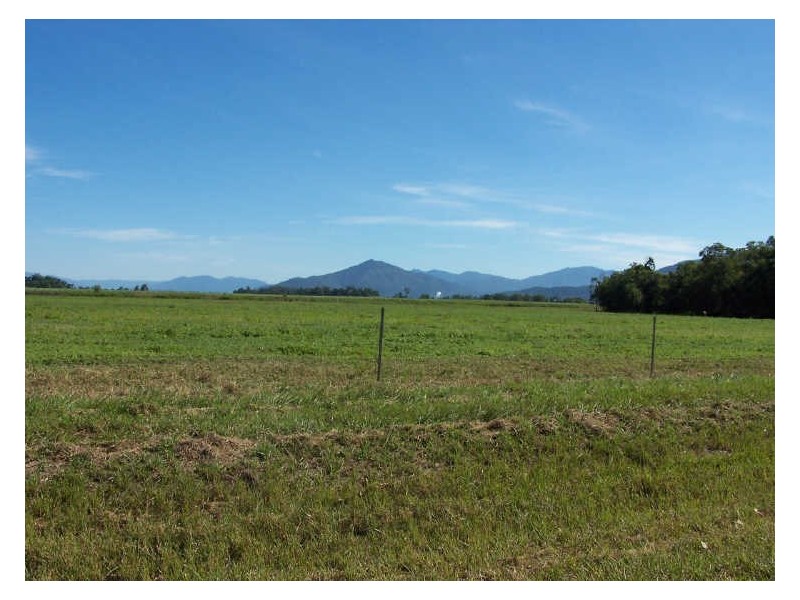 Tully QLD 4854