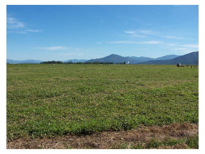 Tully QLD 4854