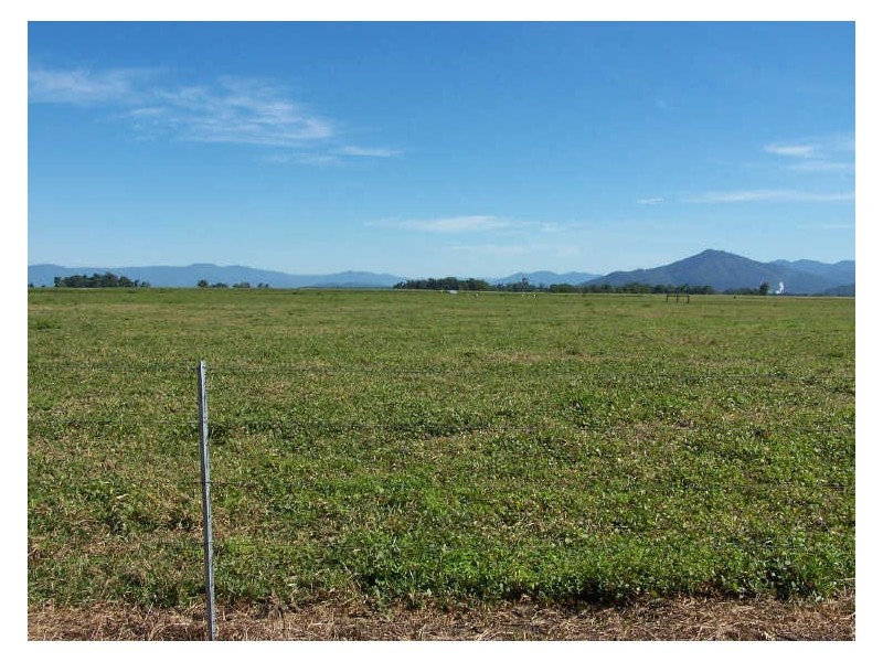 Tully QLD 4854