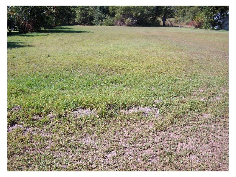 Tully Heads QLD 4854