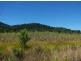Silky Oak QLD 4854