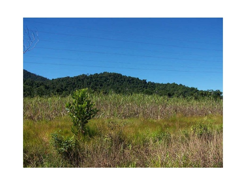 Silky Oak QLD 4854