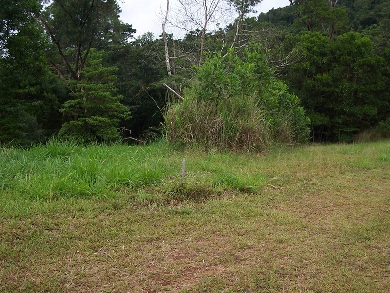 Tully QLD 4854