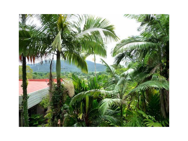 65 Theodore Street, Tully QLD 4854