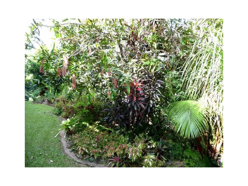 65 Theodore Street, Tully QLD 4854