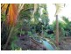 26 Thurles Street, Tully QLD 4854