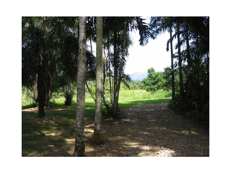 East Feluga QLD 4854