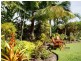 76 Chauvel Street, El Arish QLD 4855