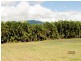 24 Keith Williams Drive, Cardwell QLD 4849
