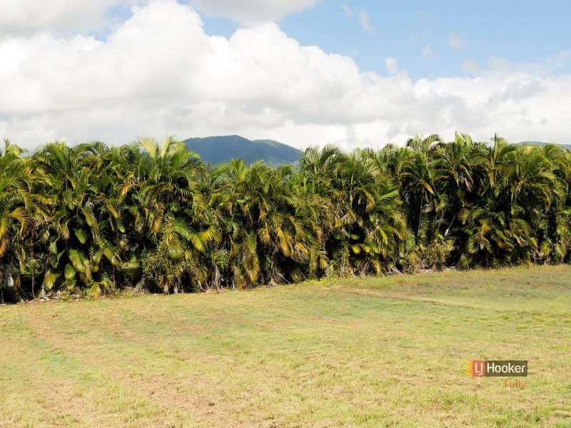 24 Keith Williams Drive, Cardwell QLD 4849