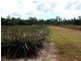 Bilyana QLD 4854