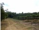 Bilyana QLD 4854