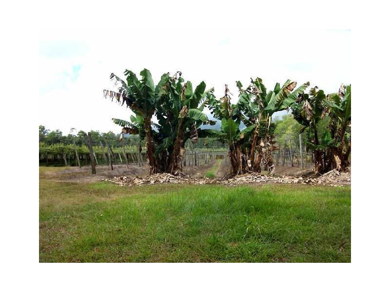 Bilyana QLD 4854