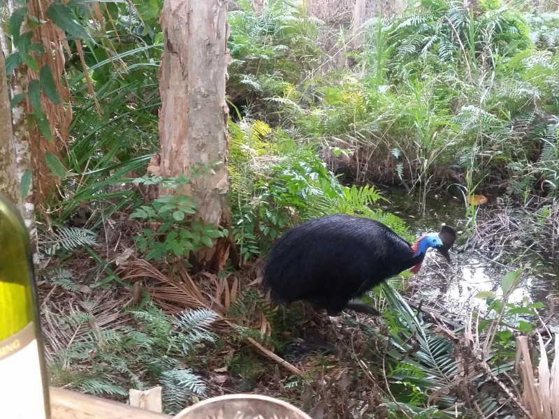 19 Hull Heads Road, Hull Heads QLD 4854