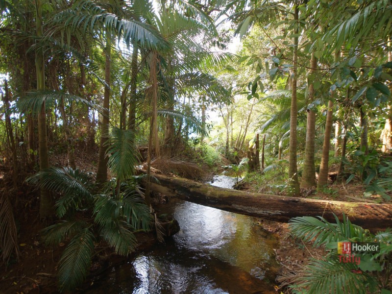 198 East Feluga Road, East Feluga QLD 4854