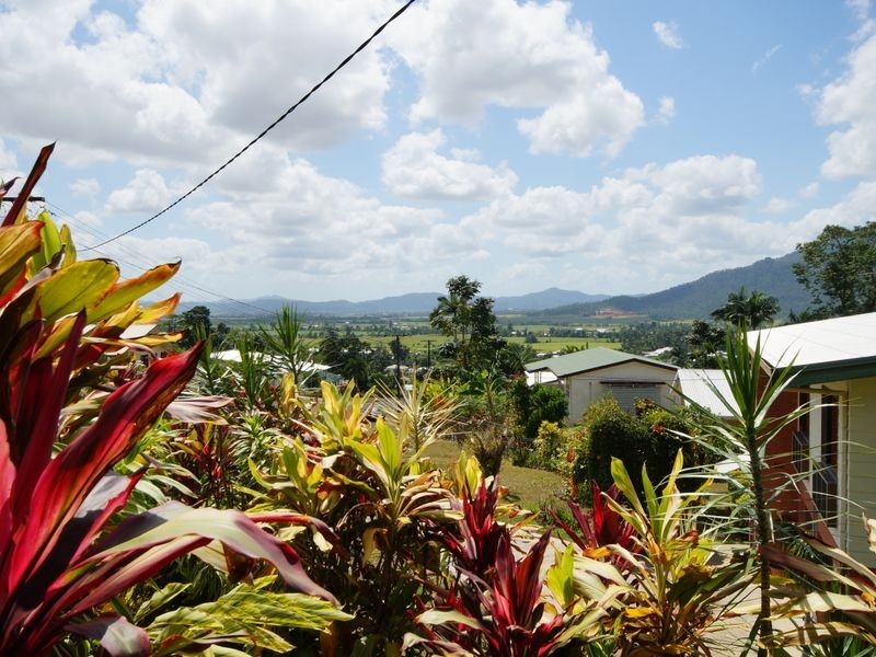 19 Bell Street, Tully QLD 4854