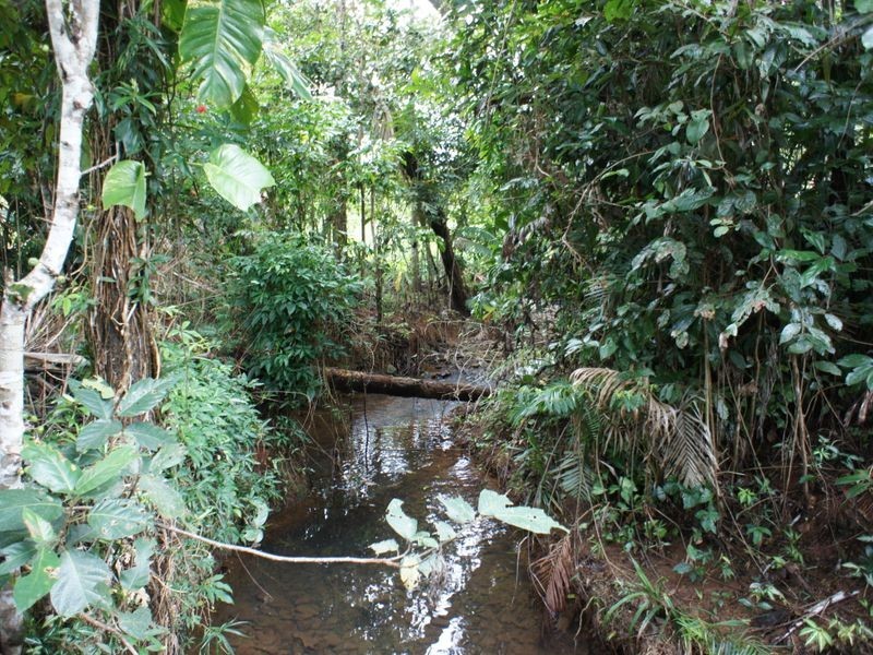 East Feluga QLD 4854