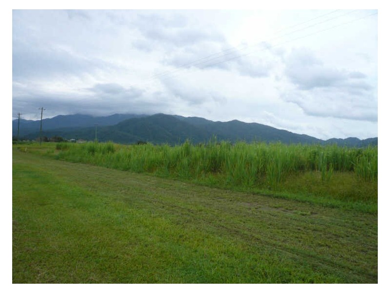 Unamed Road, Midgenoo QLD 4854