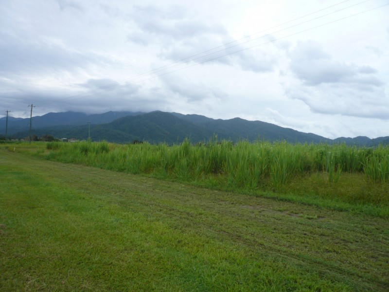 L117 Unnamed Road, Midgenoo QLD 4854