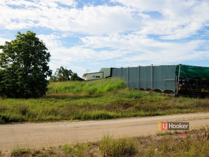 253 North Davidson Road, Munro Plains QLD 4854