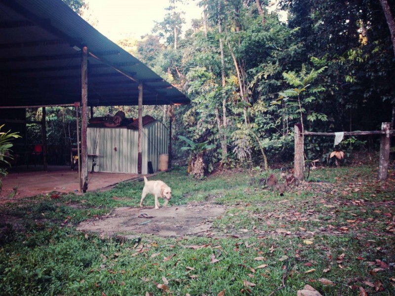 640 Scougall Road, Dingo Pocket QLD 4854