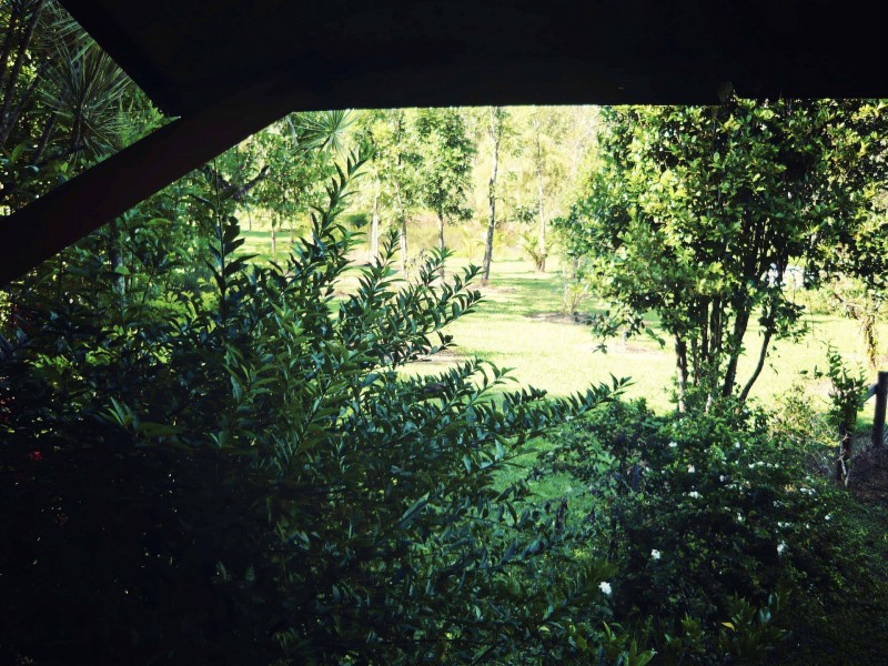 640 Scougall Road, Dingo Pocket QLD 4854