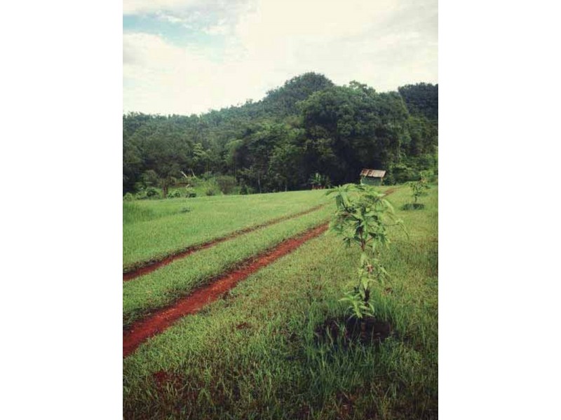 640 Scougall Road, Dingo Pocket QLD 4854