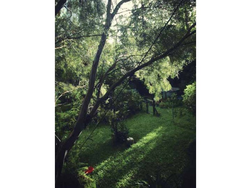 640 Scougall Road, Dingo Pocket QLD 4854