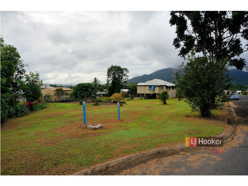20 Henry Street, Tully QLD 4854