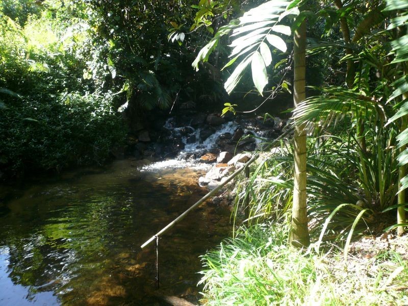 Tully QLD 4854